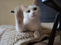 /album/113/whatsapp-image-2026-02-23-at-21-20-15-2-jpeg/